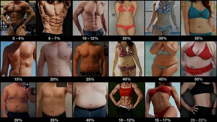 Which body shape is best for males?